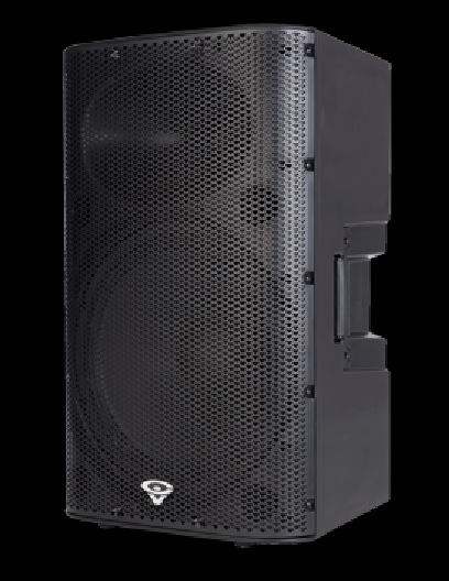 Cerwin Vegas P1500X Speaker