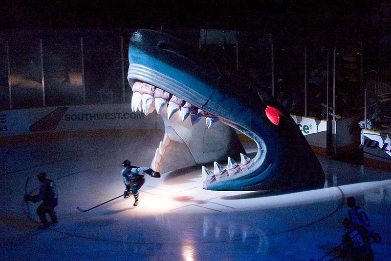 The San Jose Sharks make their traditional shark’s mouth entrance onto the ice at the SAP Arena in San Jose — a multipurpose facility that doubles as a concert venue.