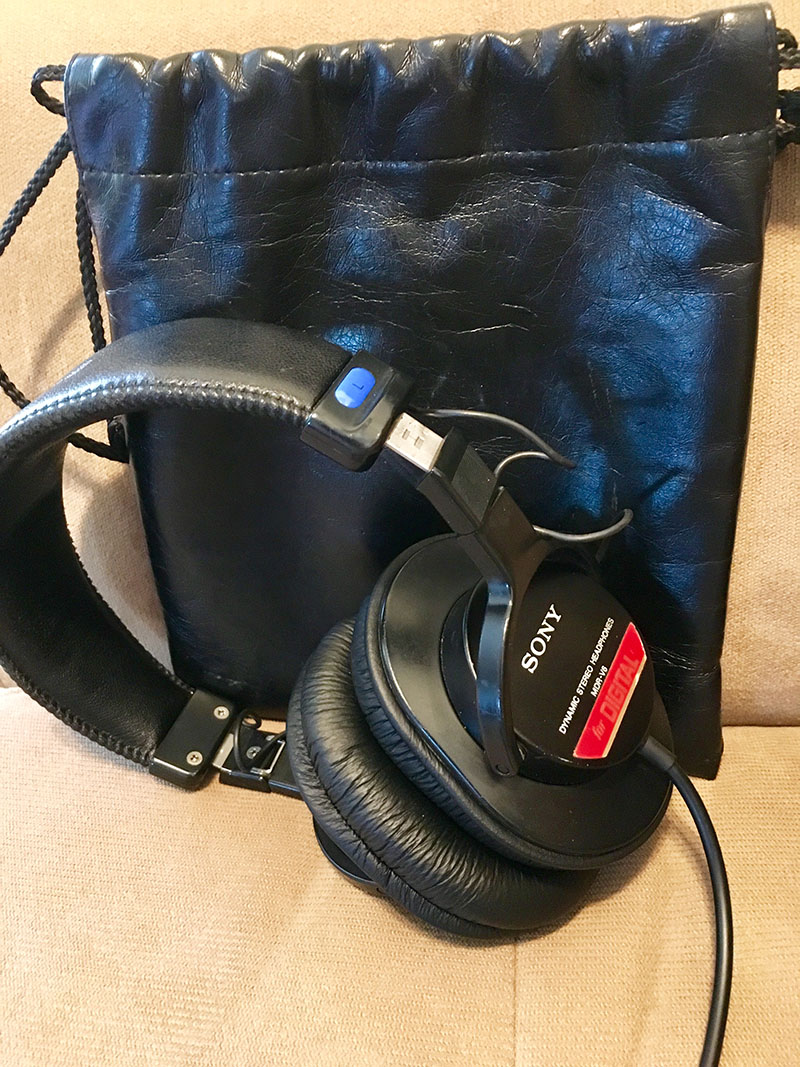 Sony MDR V6 - an old and trusted friend.